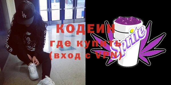 гашик Арсеньев