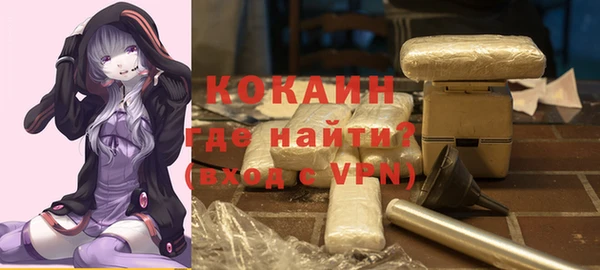 гашик Арсеньев