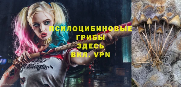 гашик Арсеньев