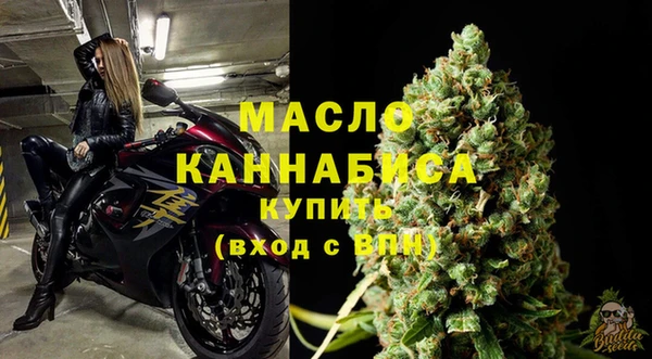 гашик Арсеньев