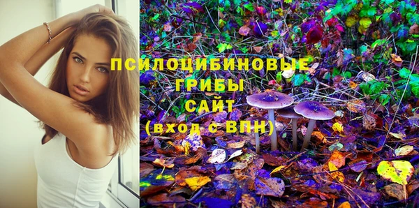 spice Армянск