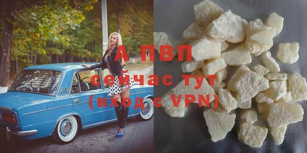 гашик Арсеньев
