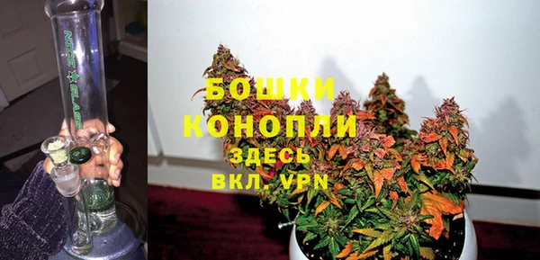 гашик Арсеньев