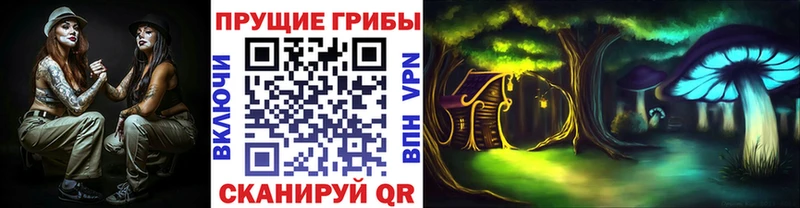 Псилоцибиновые грибы GOLDEN TEACHER  Аша 